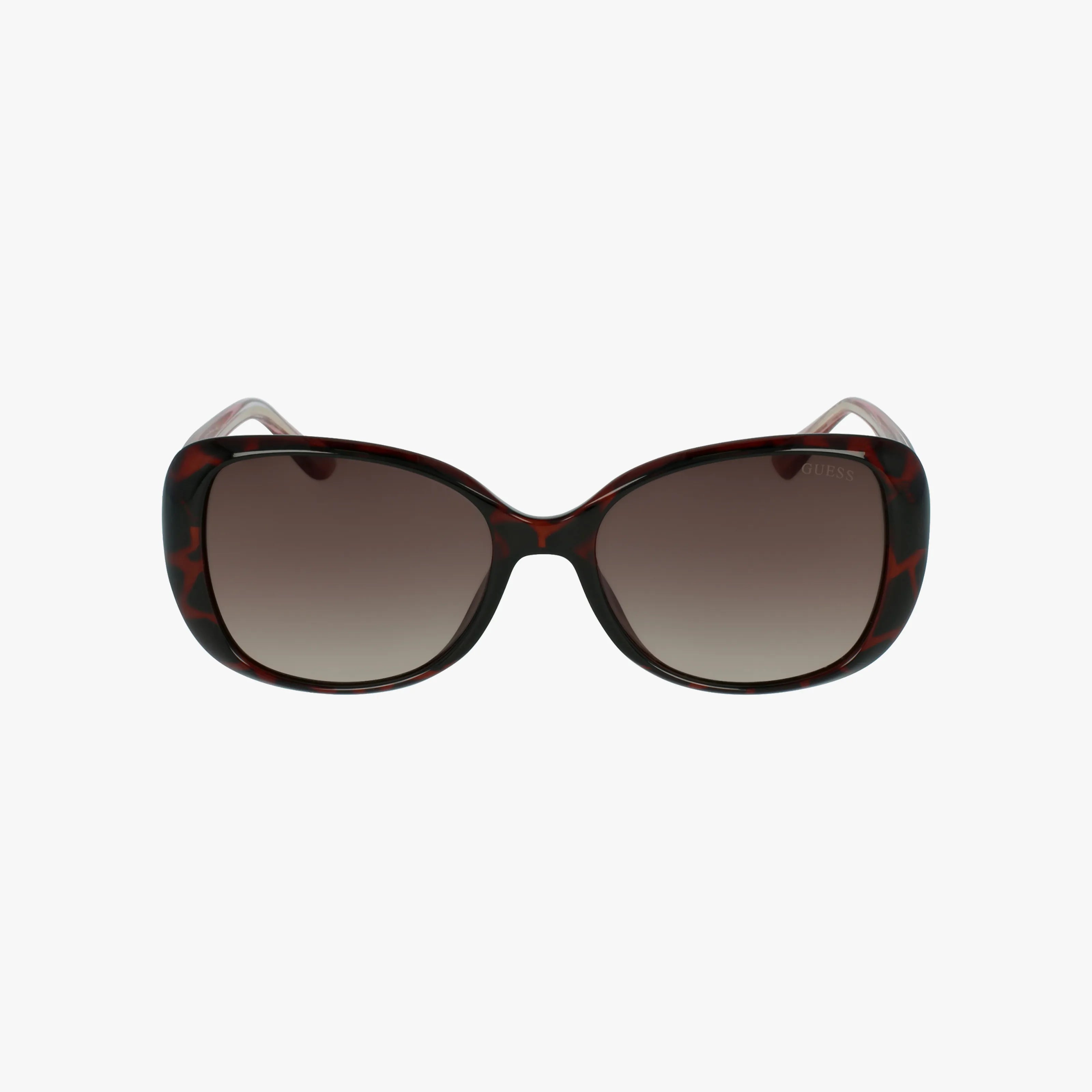 Front view of GU7554 oversized brown tortoiseshell sunglasses with a lightweight frame and gradient dark lenses, displayed on a plain white background.
