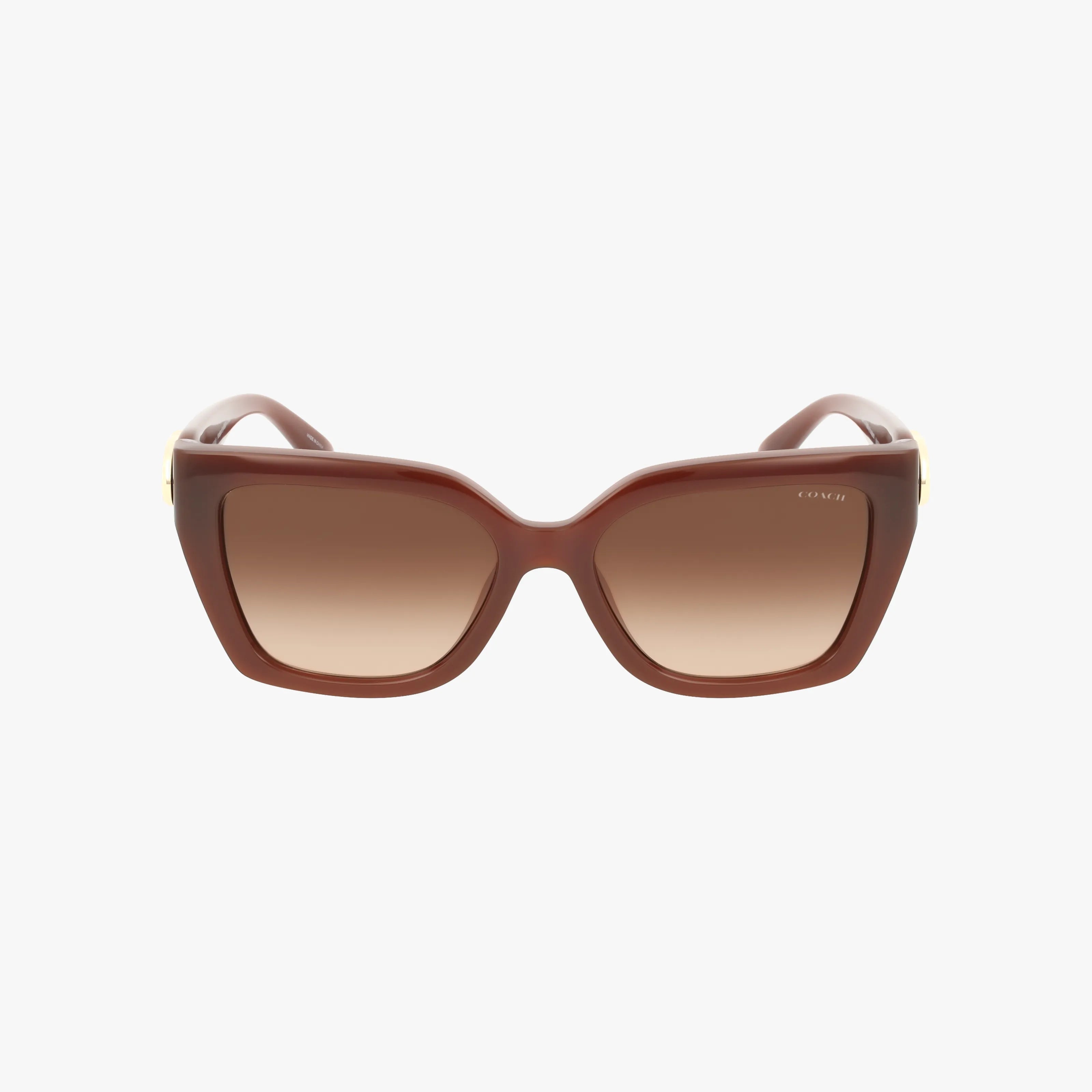Front view of oversized square sunglasses, model HC8408U, with a brown lightweight frame and gradient brown lenses. Features gold accents on the temples for stylish protection.