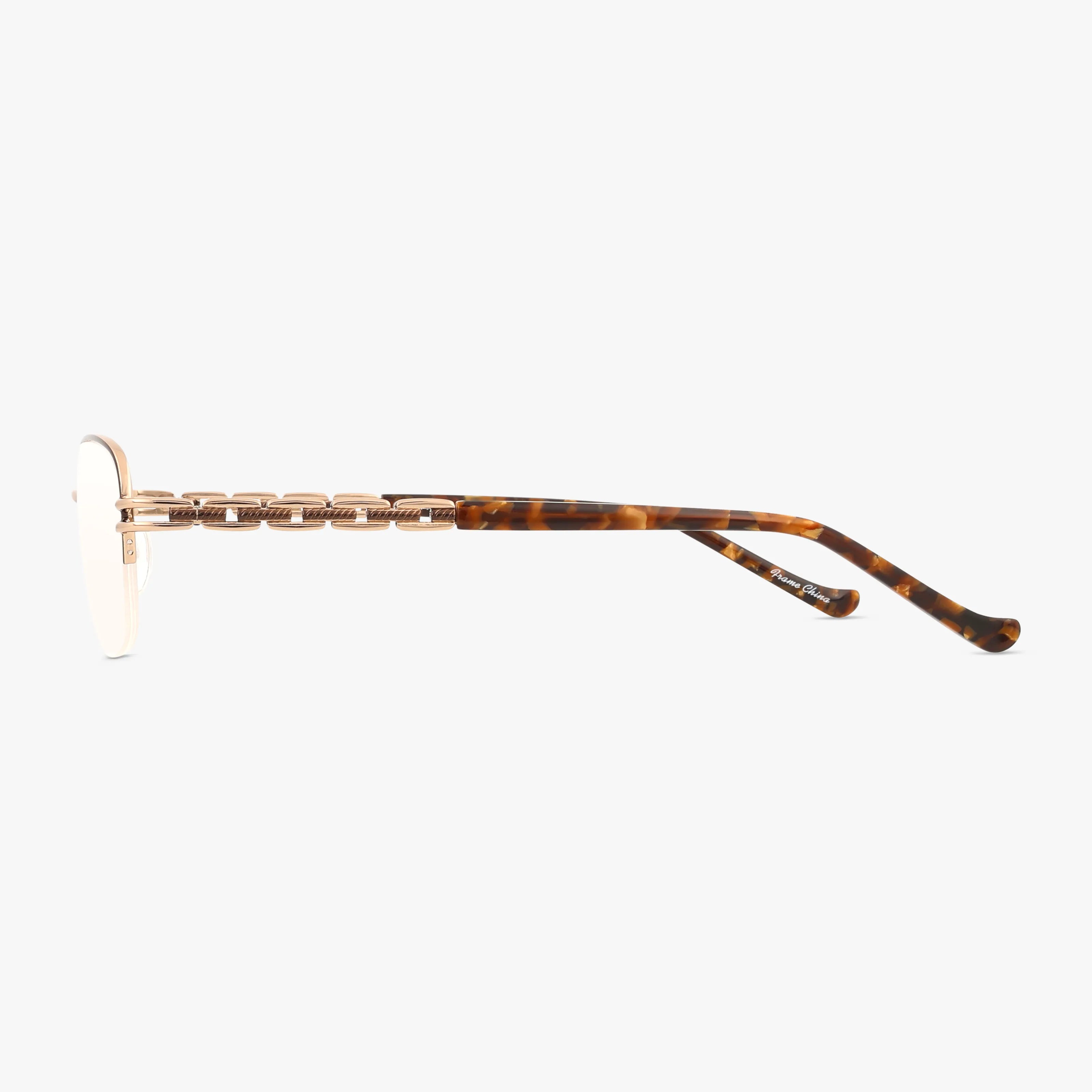 Side view of PAIGE eyeglasses with a stylish gold metal frame, brown tortoiseshell-patterned arms, Transitions lenses, and a unique temple detail for a secure fit.