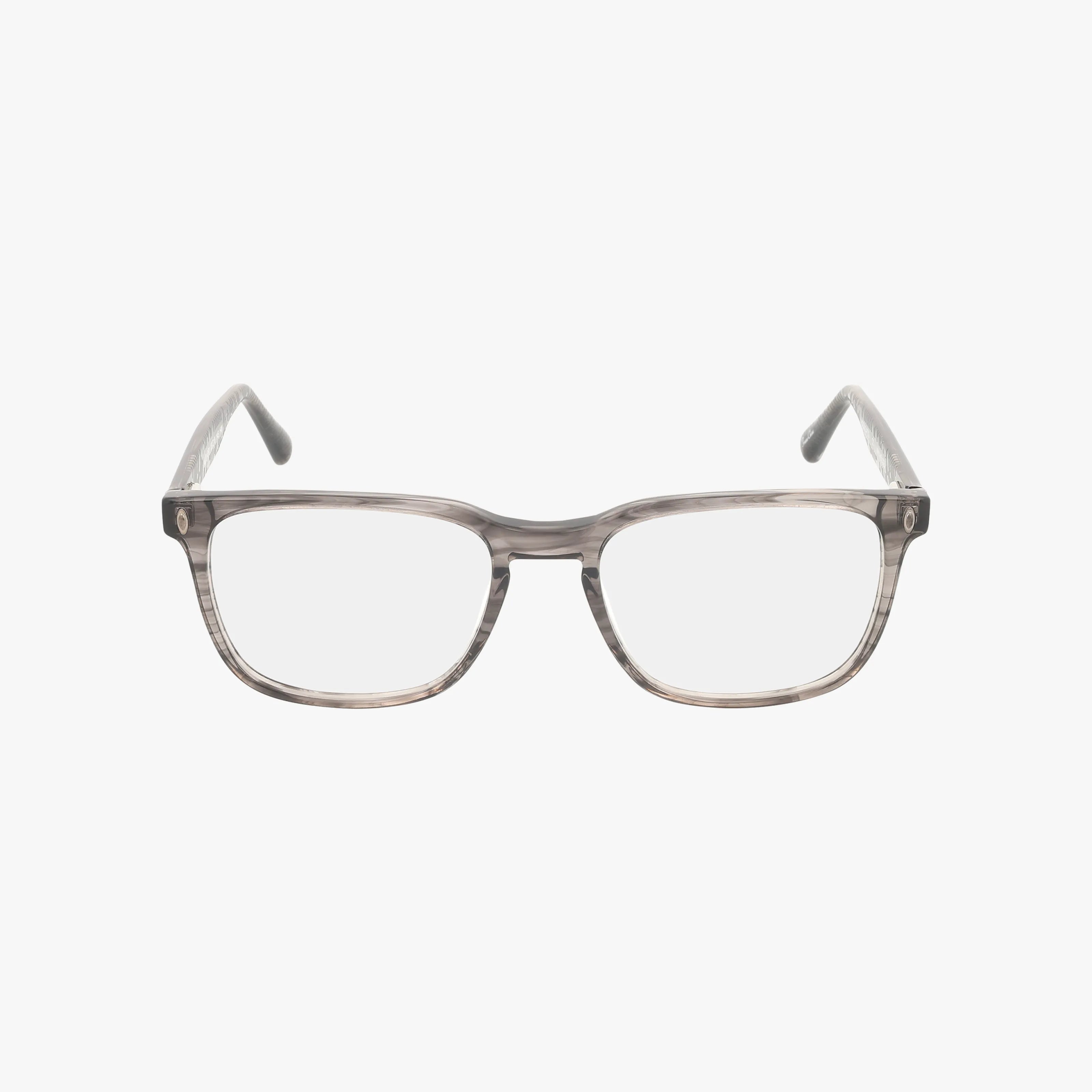 H223 eyeglasses showcase a modern design with rectangular frames crafted from transparent gray acetate, presented against a white background.