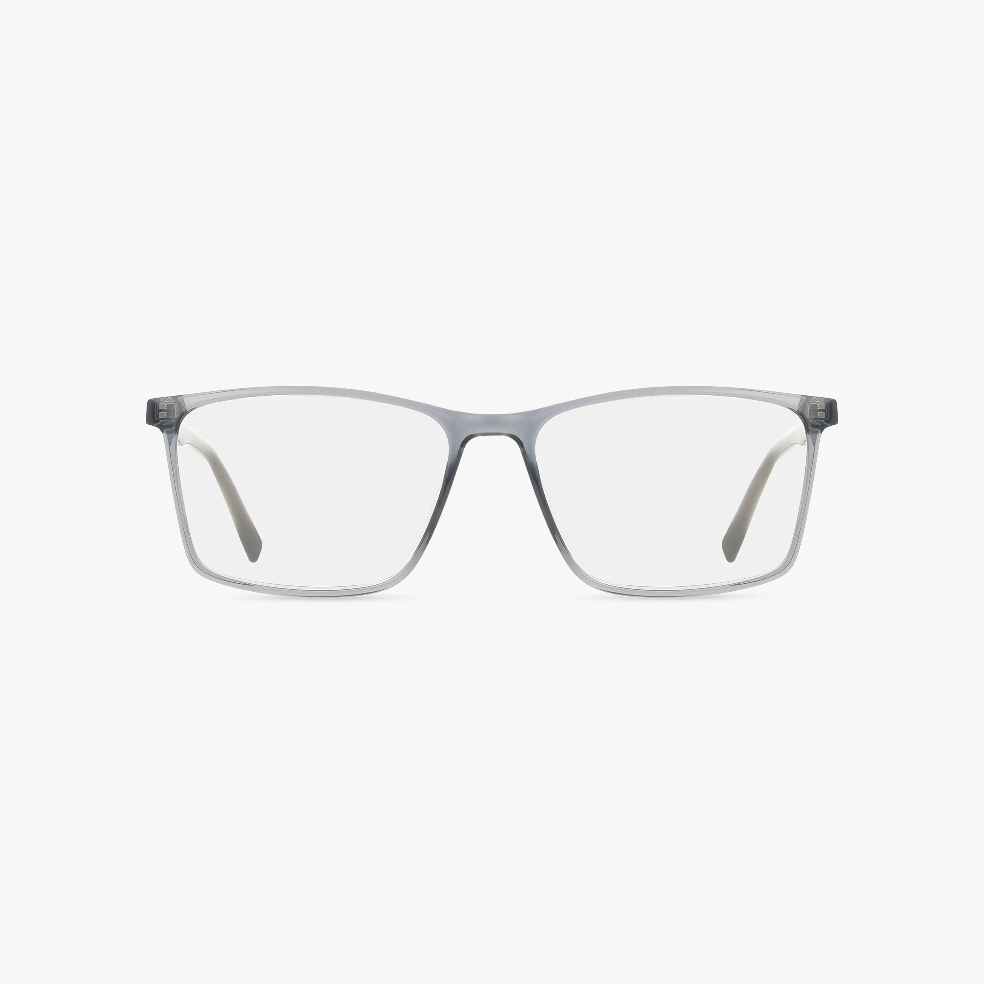 The 1029 eyeglasses feature a transparent gray rectangular frame with clear lenses, styled in a sleek modern design and displayed front-facing against a white background.