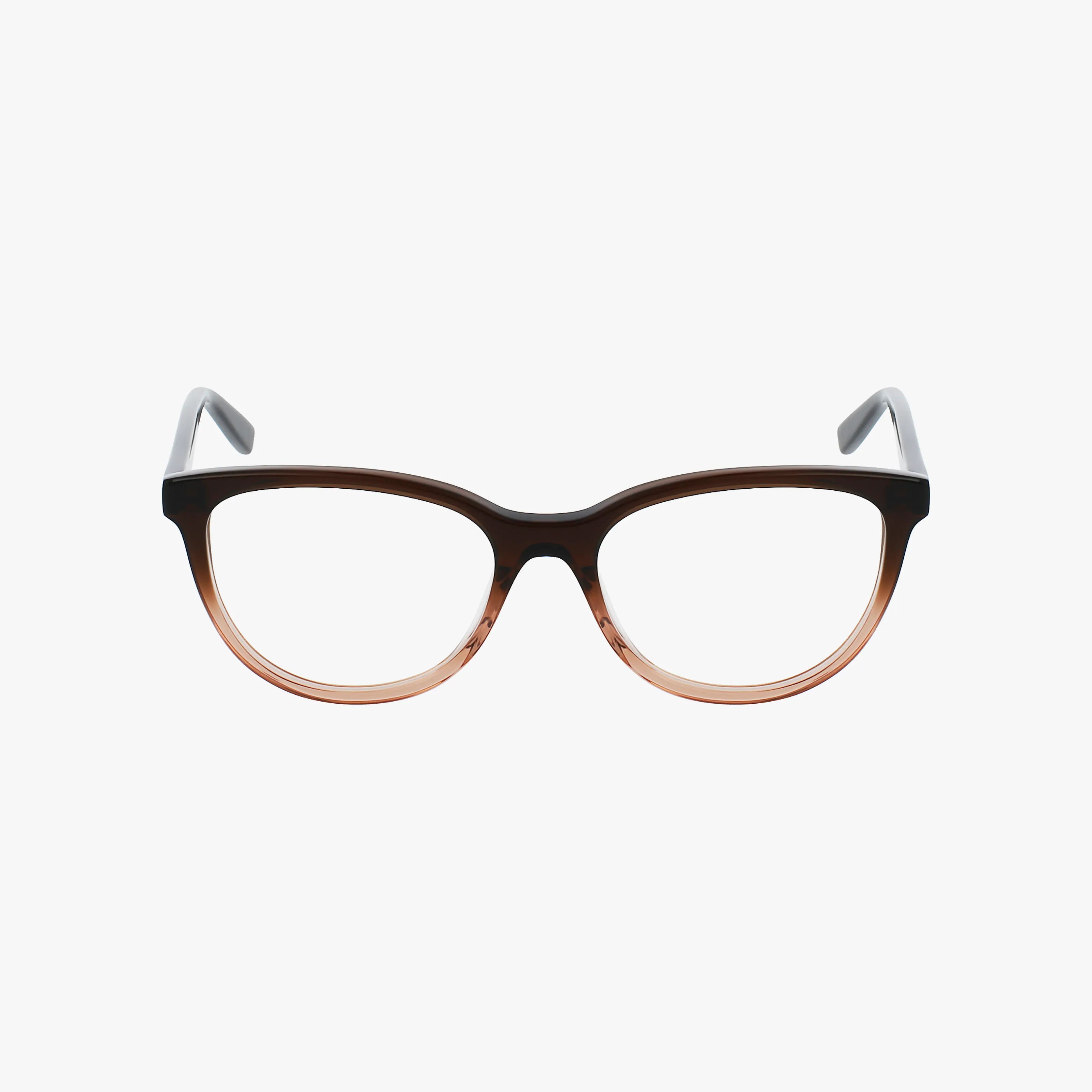 The SL 504 eyeglasses feature a durable frame with a brown upper that transitions to translucent beige below and gray temple arms, shown against a white background.
